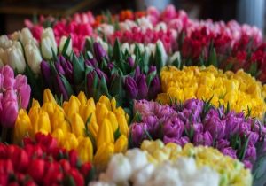 A colourful bouquet of roses grouped by colour.